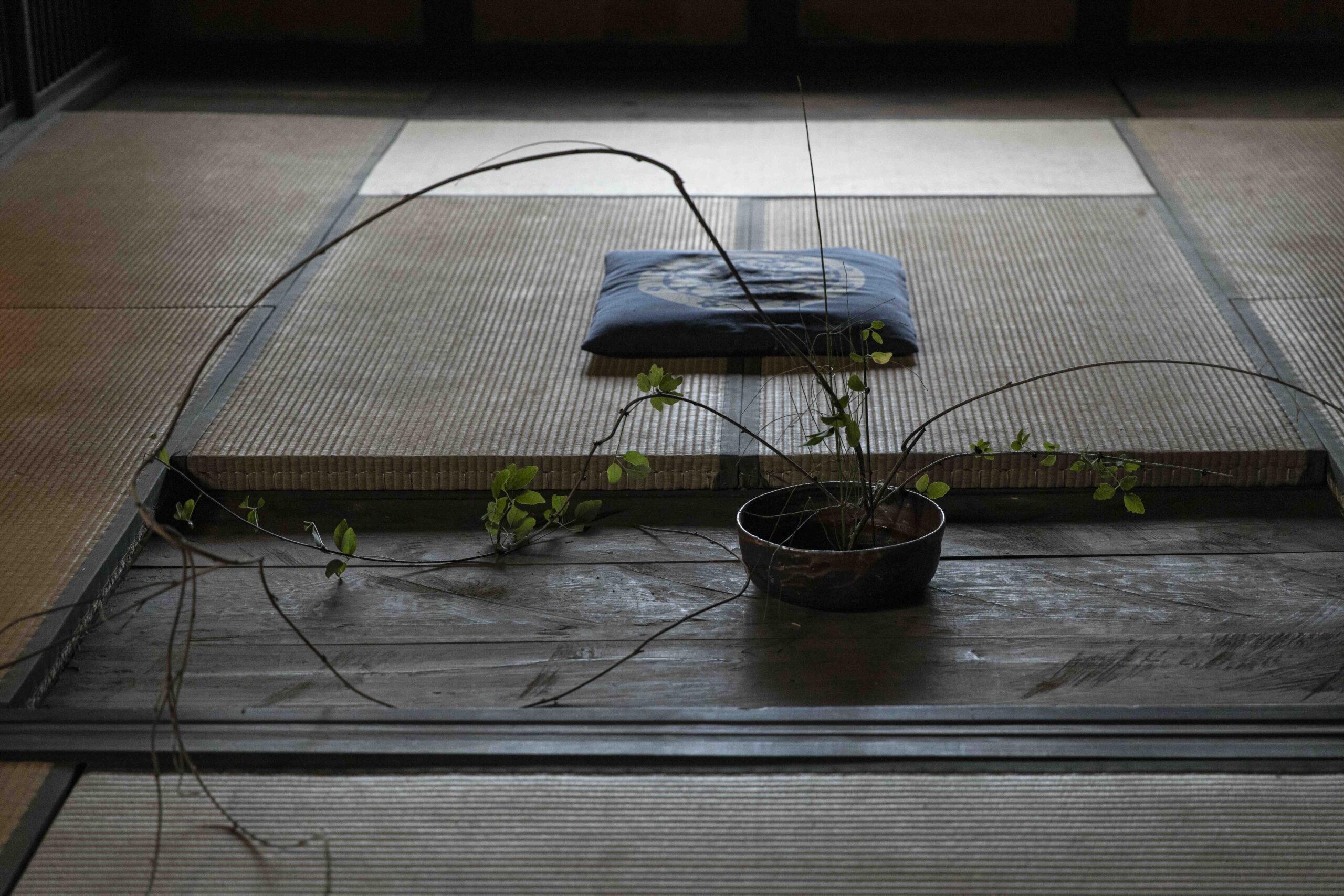 Bella Kubo art Exhibition in Japan