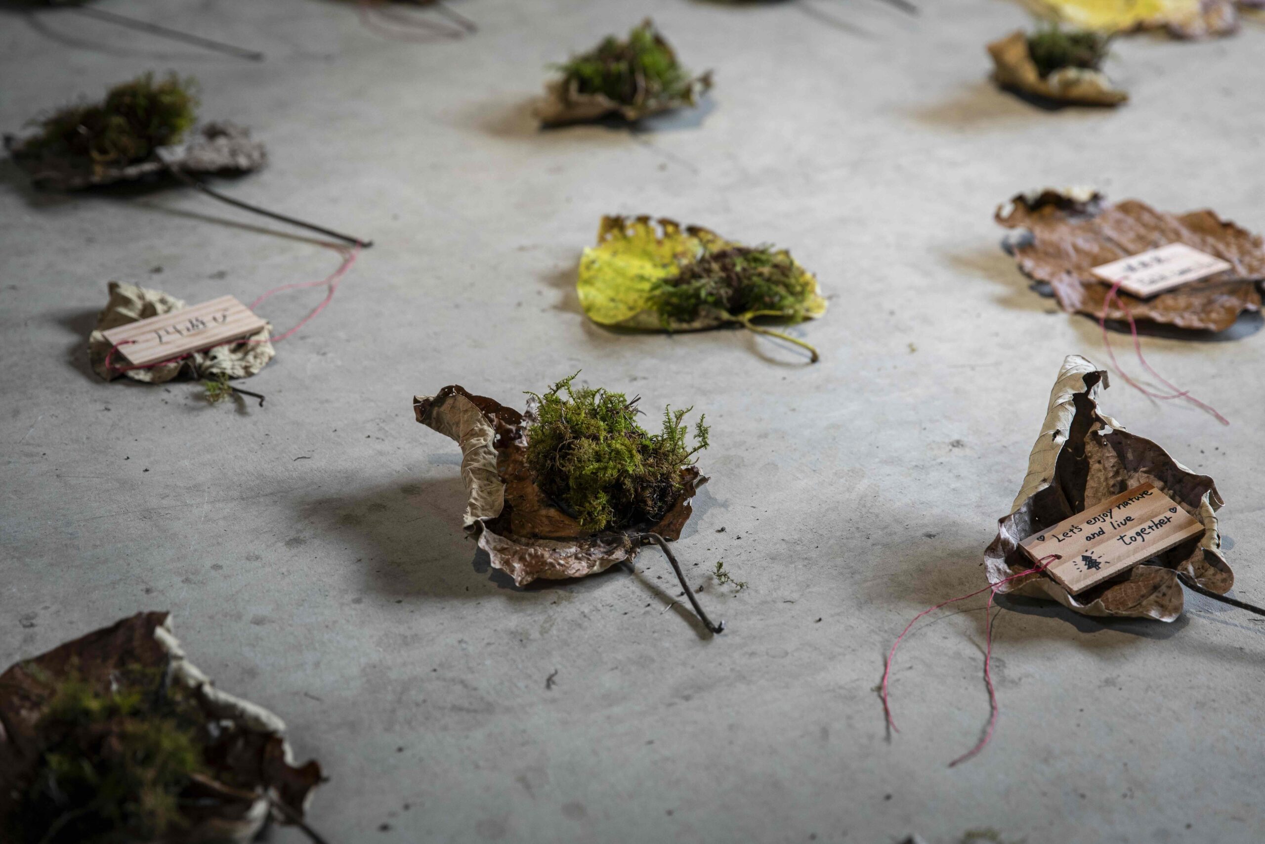 Catherine Lane art Exhibition in Japan